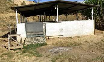 Imagem 6: Chácara a 30 km do centro Ceilândia