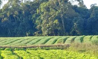 Imagem 4: Terrenos com Vista Excelente e fica na beira do Asfalto Ibiúna SP PM