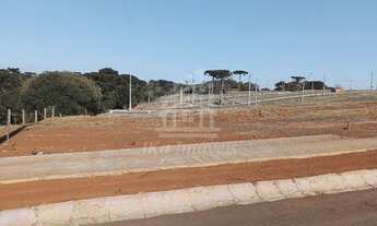 Imagem 2: TERRENO À VENDA NO BAIRRU DAS CEREIJEIRAS