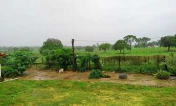 Imagem 6: VENDO FAZENDA EM ITORORÓ BOA EM REPRODUÇÃO DE GADO
