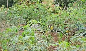 Imagem 14: Cháchara Jardim são José