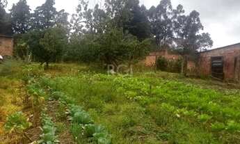 Imagem 3: Outros em Hípica