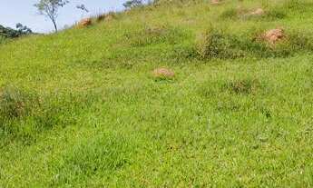 Imagem 4: TERRENO EM IGARATÁ