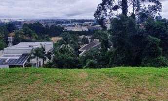 Imagem 3: Terreno à venda, 2347 m² por R$ 5.046.000,00 - Residencial Tamboré - Barueri/SP