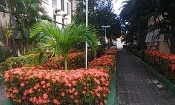 Imagem: Aluguel - Ap 2 quartos no Tabapuá. Excelente