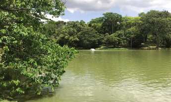 Imagem: Lotes no condomínio Paradise