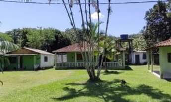 Imagem: V) Fazenda São Roque - 48 Hectares