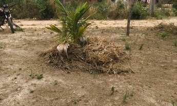 Imagem 4: Vendo terreno Terreno / lote com venda por R$4.800