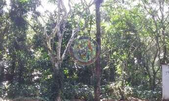 Imagem 5: Chácara à venda 5000M², San Marcos, Itanhaém - SP