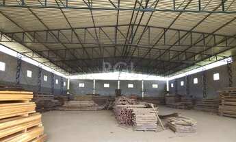 Imagem 5: Porto Alegre - Galpão/Depósito/Armazém - Lageado