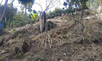 Imagem 5: Terreno à venda, 495 m² por R$ 270.000,00 - Cônego - Nova Friburgo/RJ