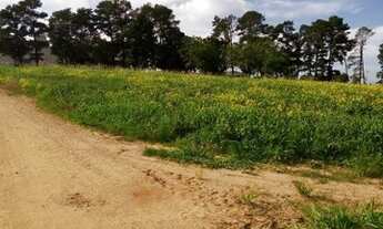Imagem 5: Fazenda/Sítio/Chácara para venda possui 150000000 metros quadrados com 3 quartos