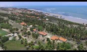 Imagem: Terreno praia da baleia itapipoca bera mar