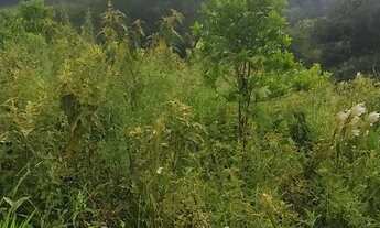 Imagem 6: Exelente Oportunidade - Lote de terreno com 2.500m² - Loteamento Fechado - Arujá - SP