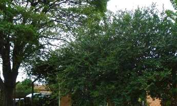 Imagem 4: Chácara com 4 dormitórios à venda, 2262 m² por R$ 750.000,00 - Chácaras Gerson Ferriello