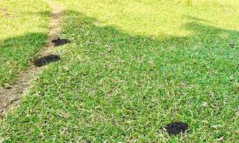 Imagem 5: Terreno 100% plano