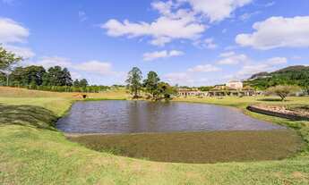 Imagem 7: Lote/Terreno para venda com 544 m2 - Vila Nova - Porto Alegre - RS