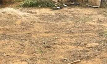 Imagem 3: Venda de terreno em Além Paraíba-MG 291m²