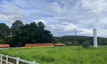 Imagem 4: Lindo Haras Região de Bauru sp