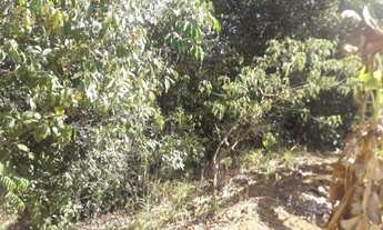 Imagem 5: Sitio Chácara com venda por R$150.000