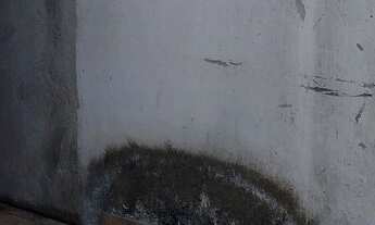 Imagem 5: Ótima casa bem localizada