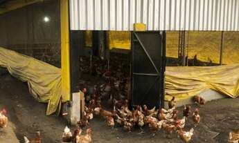 Imagem 5: Sitio com Granja