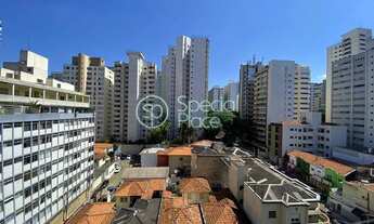 Imagem 7: SãO PAULO - Padrão - Paraíso