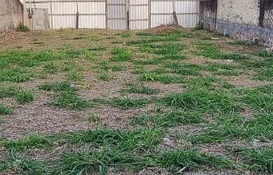 Imagem 4: Terreno piratininga