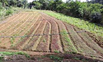 Imagem: Chácara à Venda, aparecidinha, Marechal
