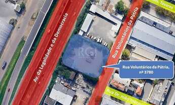 Imagem 5: Porto Alegre - Terreno Padrão - Floresta