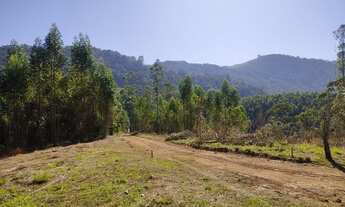 Imagem 4: Mega promoção para este fim de semana terrenos de 5000m² por R$ 75.000 somente esse final