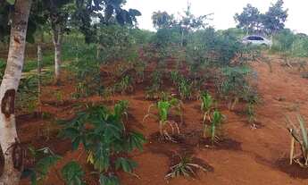 Imagem 7: Cháchara Jardim são José