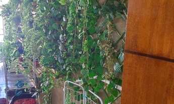 Imagem 3: Casa 3 quartos para Venda Guará II. novinha, reformada e arejada!