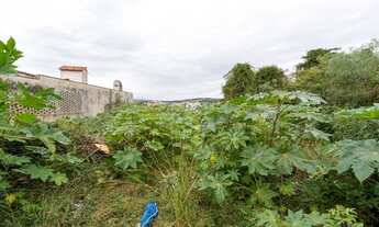 Imagem 4: Porto Alegre - Terreno Padrão - Vila Assunção