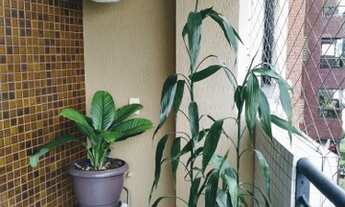 Imagem 6: Apartamento em Vila Izabel - Curitiba, PR