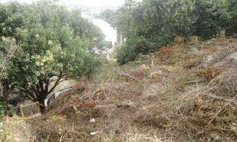 Imagem 4: Terreno no bairro Teresópolis