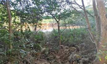 Imagem 6: Linda chácara à beira do rio 4 mil metros próxima a Baguari