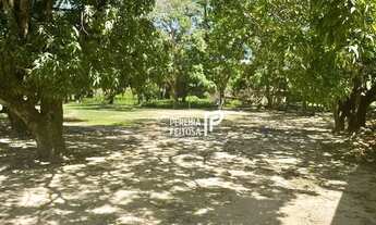 Imagem 4: Sítio com 4suítes à venda, 13940 m² por R$ - Cruzeiro de Santa Bárbara - São Luís/MA