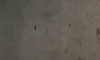 Imagem 3: Aluga - se uma casa