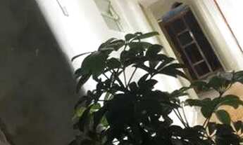 Imagem 7: Quartos compartilhado