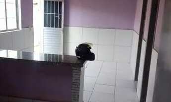 Imagem 7: Aluguel de casas com 2 quartos no mafuáá