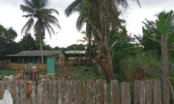 Imagem 5: Terreno com Casa, Árvores Frutíferas e Localização Privilegiada na Comunidade MarcosFreire