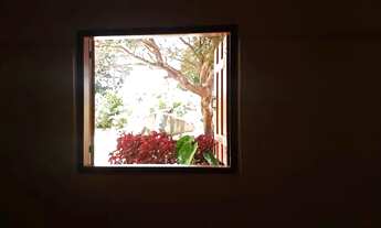 Imagem 4: SITIO EM PIRENOPOLIS VENDO OU ALUGO