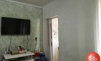 Imagem 8: São Paulo - Casa Padrão - Ipiranga