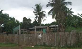 Imagem 7: Terreno com Casa, Árvores Frutíferas e Localização Privilegiada na Comunidade MarcosFreire