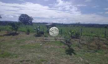 Imagem 6: Venda - Sítio - Machadinho D'Oeste - 6,5 alqueires