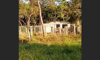 Imagem: Vendo chácara