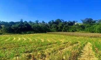 Imagem 3: Lote/Terreno para venda possui 500 metros quadrados em Bosque dos Eucalíptos - Atibaia - S