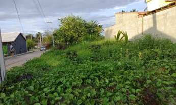 Imagem 2: Terreno em São Miguel dos Milagres