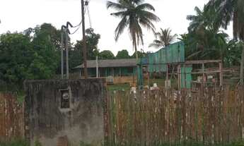 Imagem 2: Terreno com Casa, Árvores Frutíferas e Localização Privilegiada na Comunidade MarcosFreire
